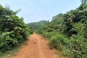 Cần chuyển nhượng 20 ha đất rừng sản xuất phù hợp làm trang trại du lịch khu trải nghiệm học sinh tại Lương Sơn Hòa Bình.