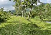 Bán đất Lương Sơn, Hòa Bình, 52000m có thổ cư, vườn,rsx, view thoáng phù hợp làm nghỉ dưỡng.