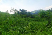Bán nhanh e 2000m full vườn Cao Phong Giá rẻ view cánh đồng
