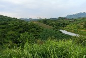 Cần bán 4000m đất vườn tại thị trấn Cao Phong - Hòa Bình giá rẻ