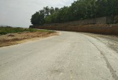 Bán 6560m đất thổ cư bám Hồ Miễu tại Lương Sơn, Hòa Bình,