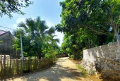 Cần Chuyển Nhượng lô đất tại cư yên Lương Sơn.