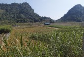 Cần bán mảnh đất đẹp rộng tại Kim Bôi có thổ cư cao