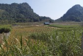 Cần bán mảnh đất đẹp rộng tại Kim Bôi có thổ cư cao
