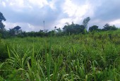 Lô đất 2000m2 full đất vườn tại Xuân Phong Cao Phong Hòa Bình giá đầu tư.