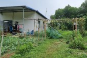 Bán đất Lương Sơn giá rẻ bám đường lớn, đầu tư sinh lời tốt