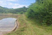 Bán đất Tân Lạc diện tích 2100m có 200 thổ cư còn lại là đất vườn view cánh đồng thoáng mát