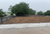 BÁN GẤP 1024M ĐỒI MÍT – NAM PHƯƠNG TIẾN – CHƯƠNG MỸ.