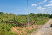 CHÍNH CHỦ CẦN CHUYỂN NHƯỢNG 1100M2 VUÔNG VẮN TẠI LƯƠNG SƠN, HÒA BÌNH.2.1 tỷ.