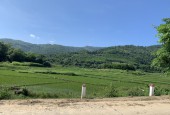 bán nhanh 1642m đất nghỉ dưỡng tại cư yên, lương sơn, lô góc, view cánh đồng, núi non giá 2.9tr/m2