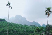 Bán 2878m có 400 ont tại Nuông Răm Kim Bôi Hòa Bình Gía Rẻ