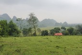 Bán 4600m view cánh đồng, núi đá trập trùng tuyệt đẹp giá chỉ 700tr tại Lương Sơn