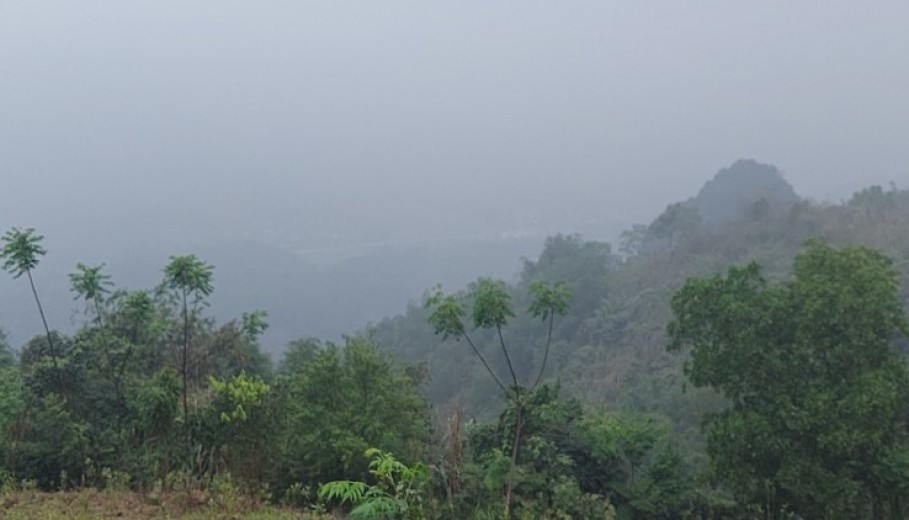 BÁN 7HA ĐẤT TẠI CAO PHONG GIÁ SIÊU TÔT.