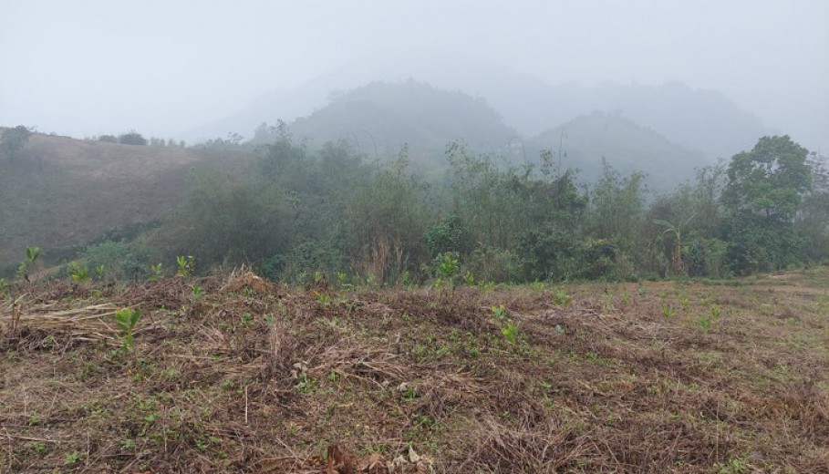 BÁN 7HA ĐẤT TẠI CAO PHONG GIÁ SIÊU TÔT.