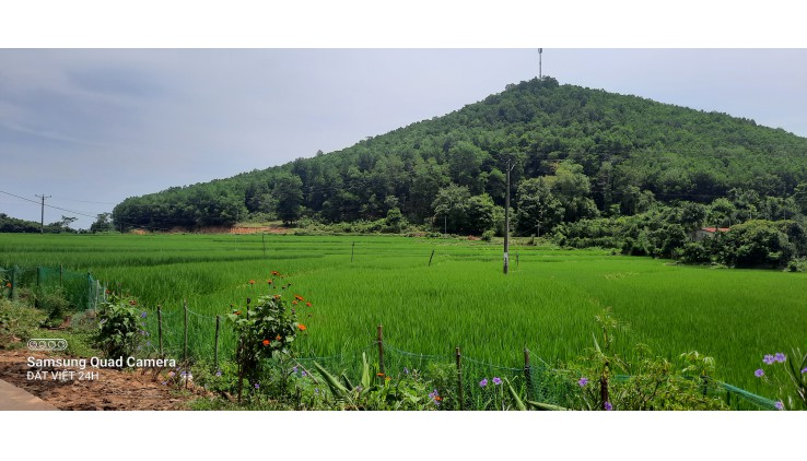 Bán đất thổ cư Thượng Tiến, Kim Bôi view cánh đồng diện tích 7885m 400m ont