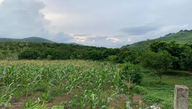 BÁN NHANH MẢNH ĐẤT VIEW NÚI ĐỒI CAO THOÁNG - GIAO THÔNG THUẬN TIỆN, ĐƯỜNG Ô TÔ TRÁNH - HỆ THỐNG ĐIỆN NƯỚC ĐẦY ĐỦ, ĐẤT TẠI CAO PHONG - HÒA BÌNH.