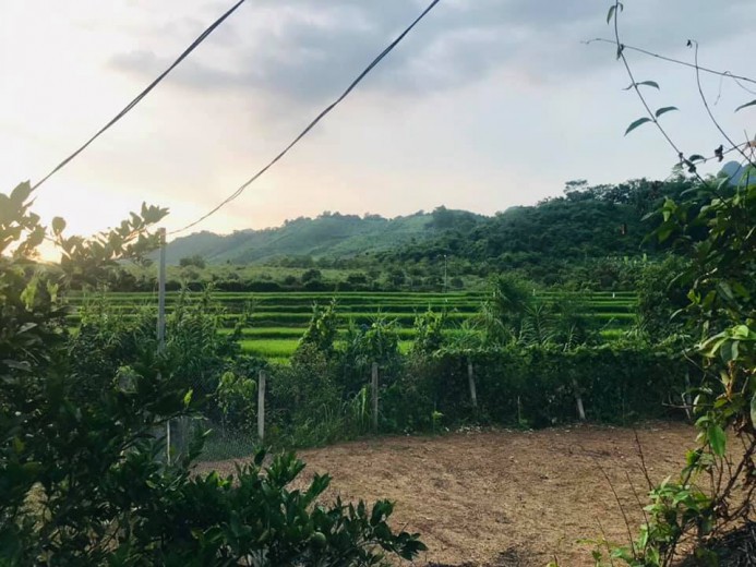 BÁN RẺ 3000m ĐẤT THỔ CƯ, VIEW NÚI + RUỘNG BẬC THANG,Ô TÔ VÀO TẬN ĐẤT,GIÁ 770TR.