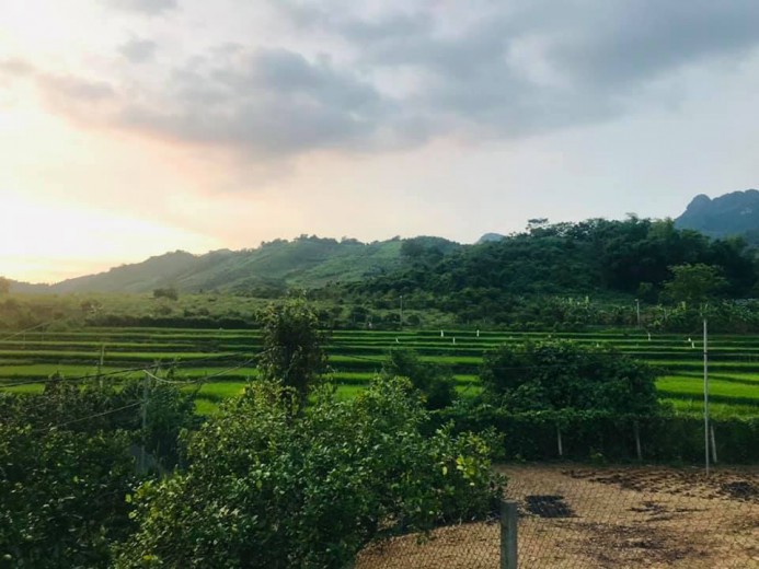 BÁN RẺ 3000m ĐẤT THỔ CƯ, VIEW NÚI + RUỘNG BẬC THANG,Ô TÔ VÀO TẬN ĐẤT,GIÁ 770TR.