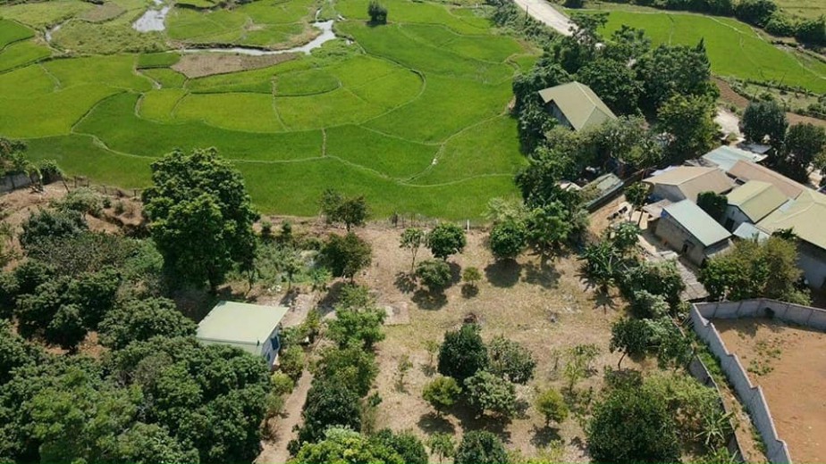 BÁN GẤP 3634m, view cánh đồng thoáng mát,ô tô tận đất,giá rẻ