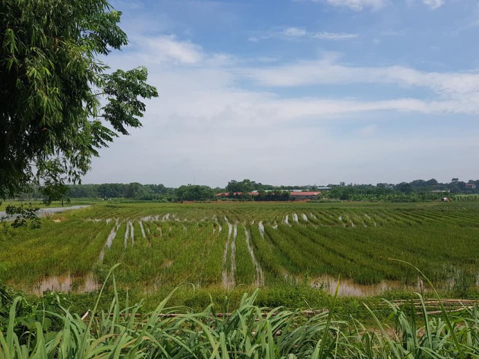 CHÍNH CHỦ GỬI BÁN 1080m, VIEW CÁNH ĐỒNG,GIAO THÔNG THUẬN TIỆN,GIÁ RẺ