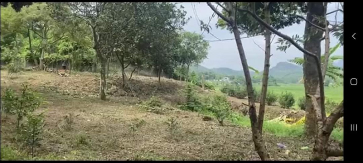 BÁN GẤP 3634m, view cánh đồng thoáng mát,ô tô tận đất,giá rẻ