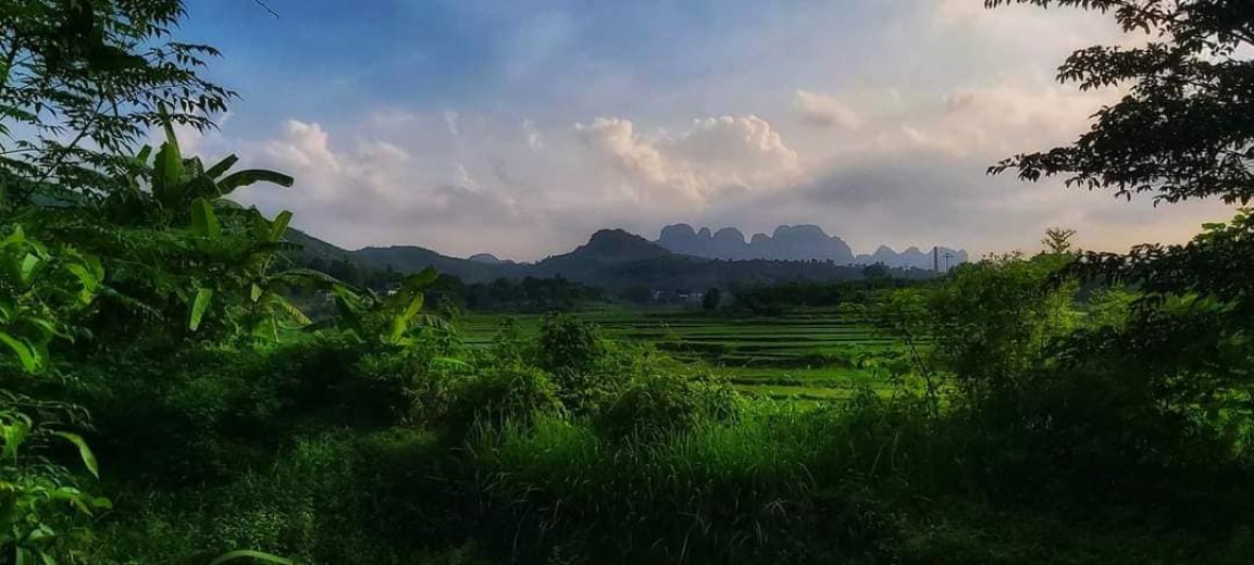 BÁN RẺ 3634M ĐẤT,VIEW CÁNH ĐỒNG,GIAO THÔNG THUẬN TIỆN,GIÁ COVIT