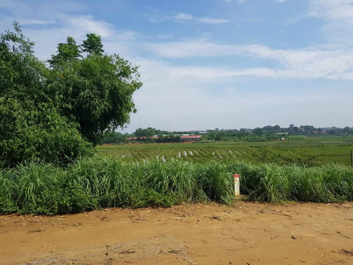 CHÍNH CHỦ GỬI BÁN 1080m, VIEW CÁNH ĐỒNG,GIAO THÔNG THUẬN TIỆN,GIÁ RẺ