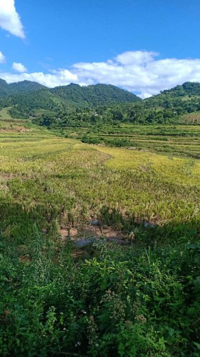 NHANH TAY SỞ HỮU 11.800M,VIEW HỒ,Ô TÔ VÀO TẬN ĐẤT,GIÁ 150K/M