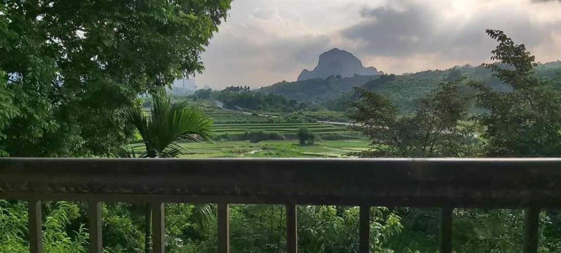 BÁN RẺ 3634M ĐẤT,VIEW CÁNH ĐỒNG,GIAO THÔNG THUẬN TIỆN,GIÁ COVIT