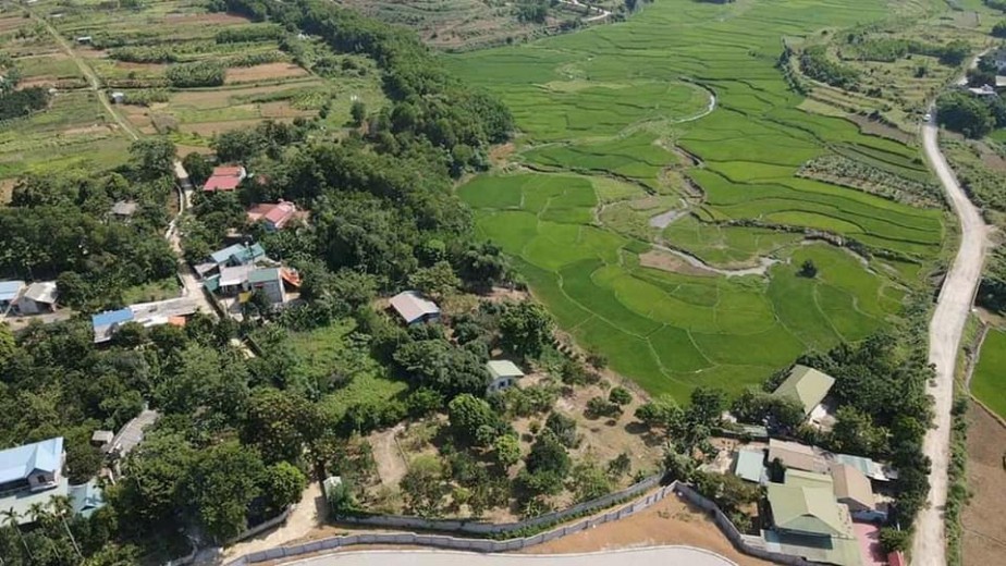 BÁN GẤP 3634m, view cánh đồng thoáng mát,ô tô tận đất,giá rẻ