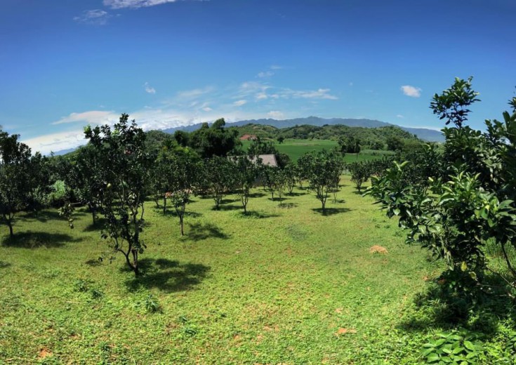 Bán Nhanh lô đất 2143m tại Tân Lạc view Cánh đồng giá MẦM NON