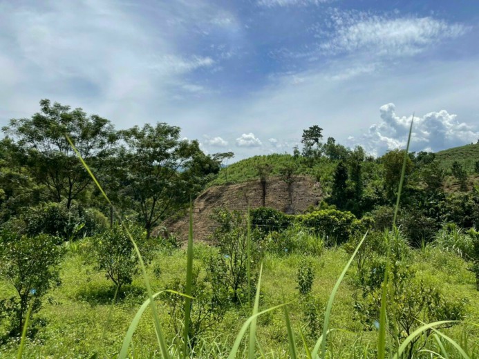Bán gấp mảnh đất tại xã Nam Phong Cao Phong