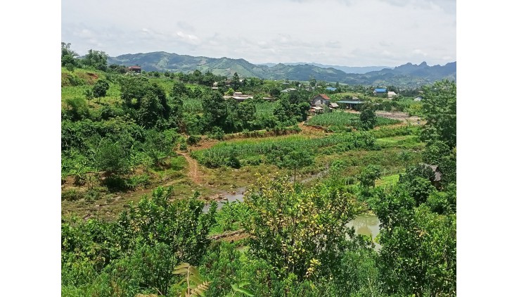 Chuyển nhượng 2469m thổ cư và vườn tại tân phong cao phong