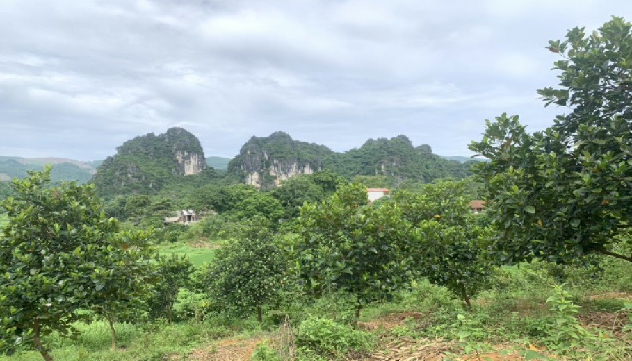 Bán đất 32000m2 tại Lương Sơn view núi đá.