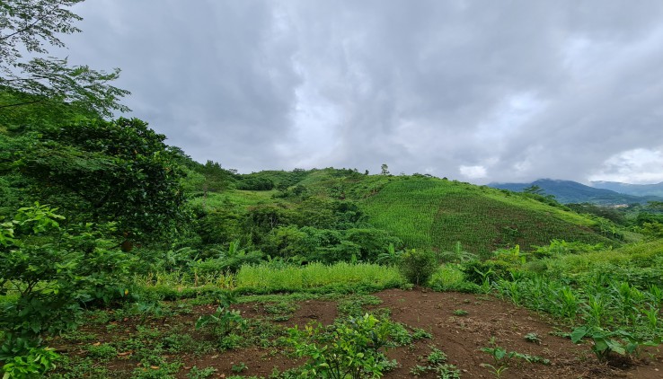 Bán 6000m đất tại Cao Phong giá cực rẻ