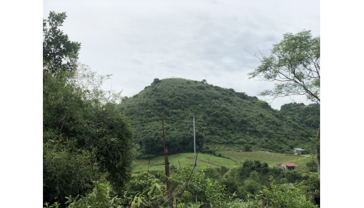 Bán đất Cao Phong diện tích 9500m thế đất thoải view núi trùng điệp thoáng mát