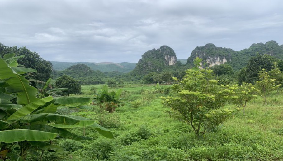 Bán đất 32000m2 tại Lương Sơn view núi đá.