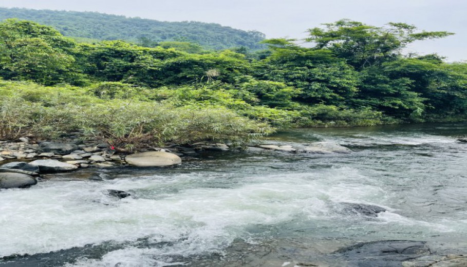 BÁM SUỐI TO NƯỚC CHẢY QUANH NĂM 4000m CHỈ HƠN 2 TỶ.