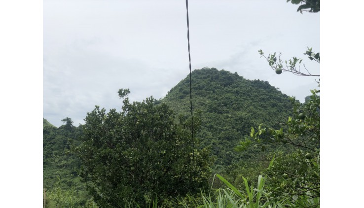 Bán đất Cao Phong diện tích 9500m thế đất thoải view núi trùng điệp thoáng mát