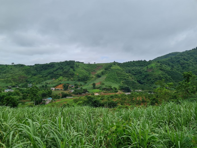 Cần bán 2992m2 có 400m2 tc view toàn cảnh tại Xuân Phong Cao Phong Hòa Bình