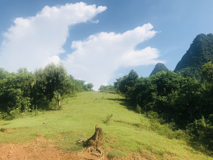 Mở Bán 35ha RSX Có Mặt Bằng Đẹp Như Bức Tranh Phong Cảnh Tại Kim Bôi Giá Rẻ