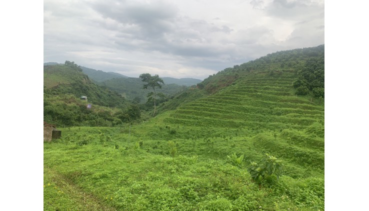 SIÊU PHẨM NGHỈ DƯỠNG THẢO NGUYÊN XANH SUỐI QUANH NĂM MÁT LÀNH HƠN 2HA giá HƠN TỶ XÍU