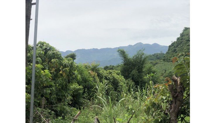 Bán đất Cao Phong diện tích 9500m thế đất thoải view núi trùng điệp thoáng mát