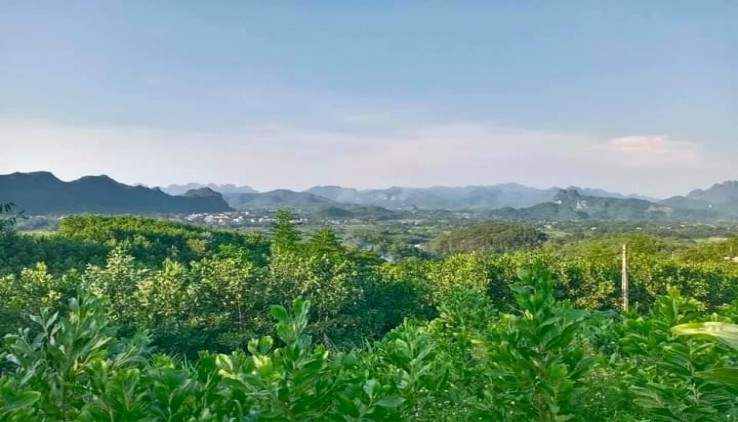 Bán 3091m full thổ cự tại Tú Sơn view thoáng lưng tựa núi giá 1.7 tỷ
