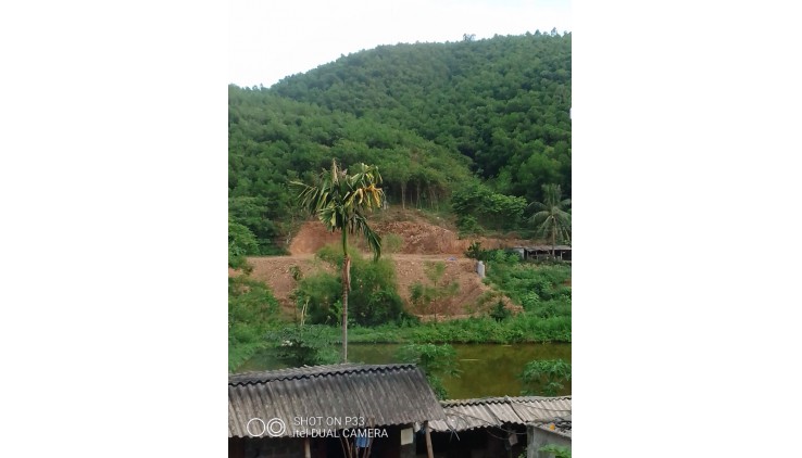 Tìm Chủ Mới Cho lô 1.6 ha có 400 ont tại long Sơn. Lương Sơn