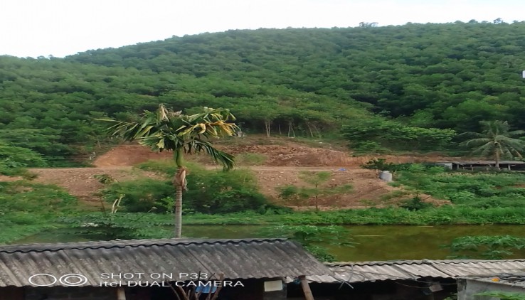 Tìm Chủ Mới Cho lô 1.6 ha có 400 ont tại long Sơn. Lương Sơn.