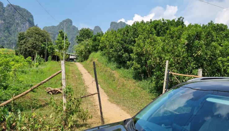 Bán lô đất Thổ Cư Tại CAo Phong View hồ 6200m