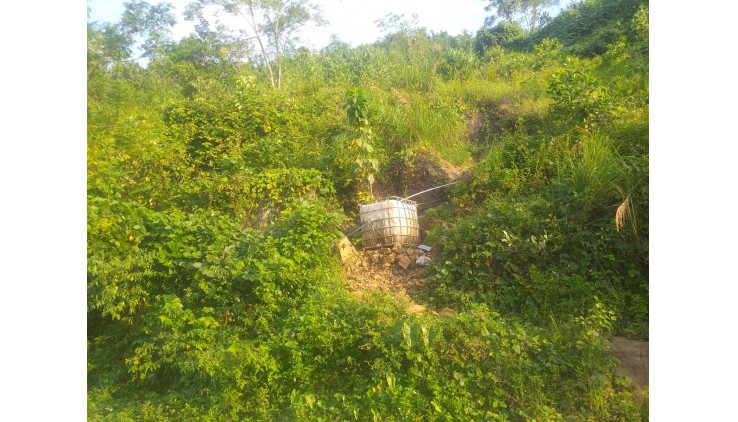 Bán gấp lô đất rừng sản xuất bám đường bê tông tại Tú Sơn, Kim Bôi