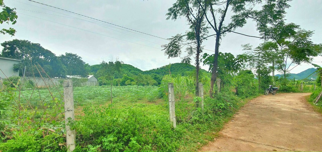 Chính chủ gửi bán 900m2 đất có 200 thổ cư chỉ 7xx triệu gần khu vực có nước khoáng nóng tại Kim Bôi, Hòa Bình!