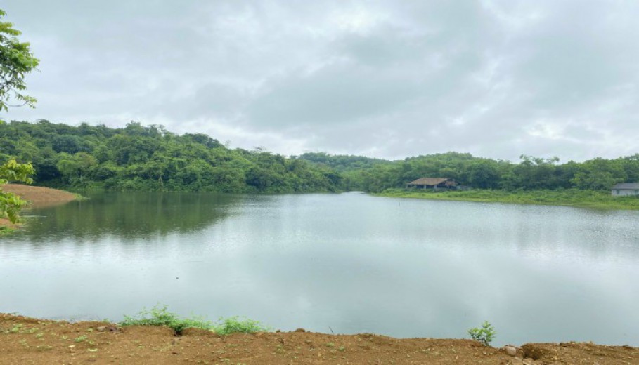 Cơ hội sở hữu ngay 9700m2 đất thổ cư bám mặt hồ tự nhiên tại Lương Sơn, Hòa Bình